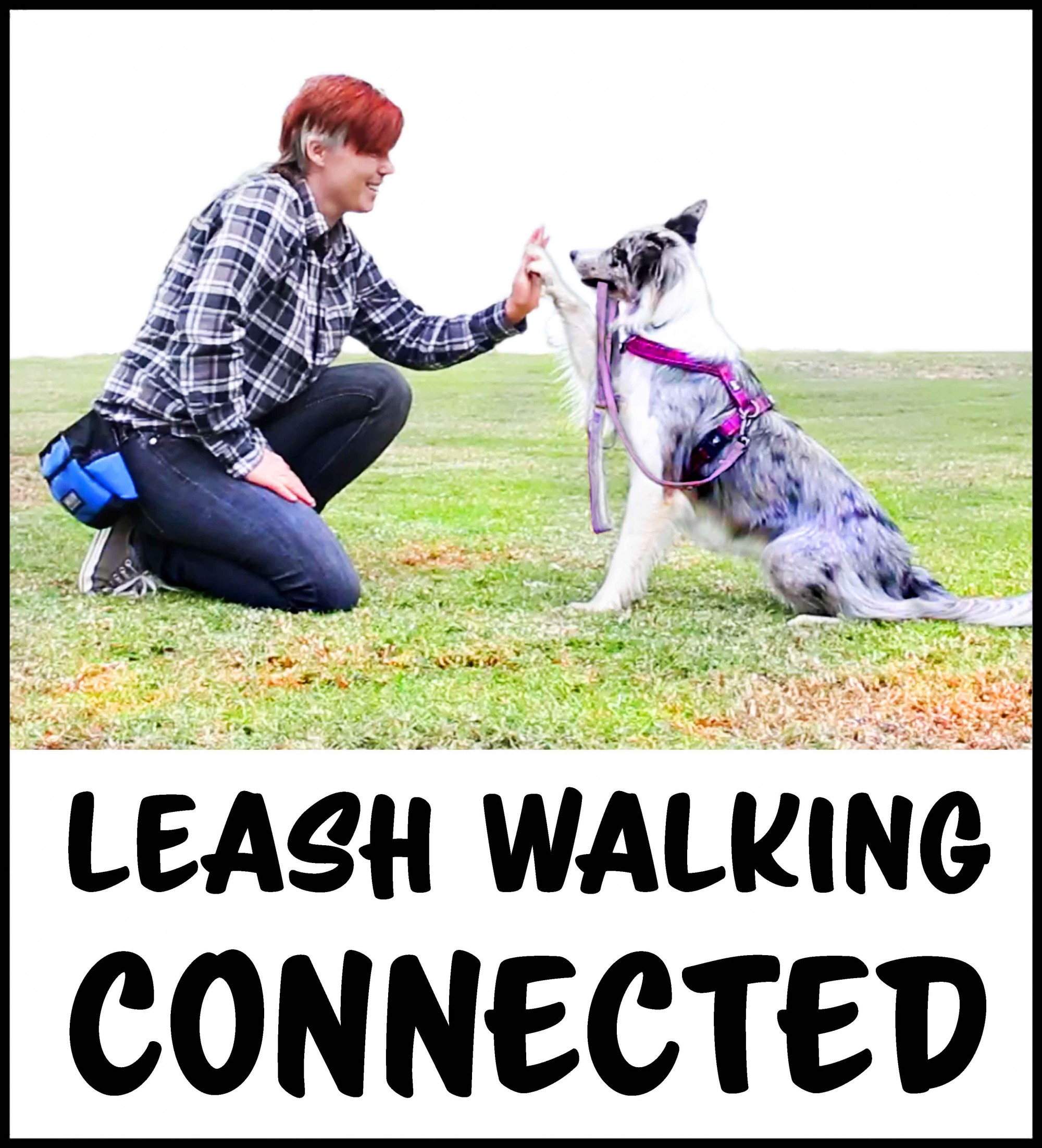 Leash Walking CONNECTED