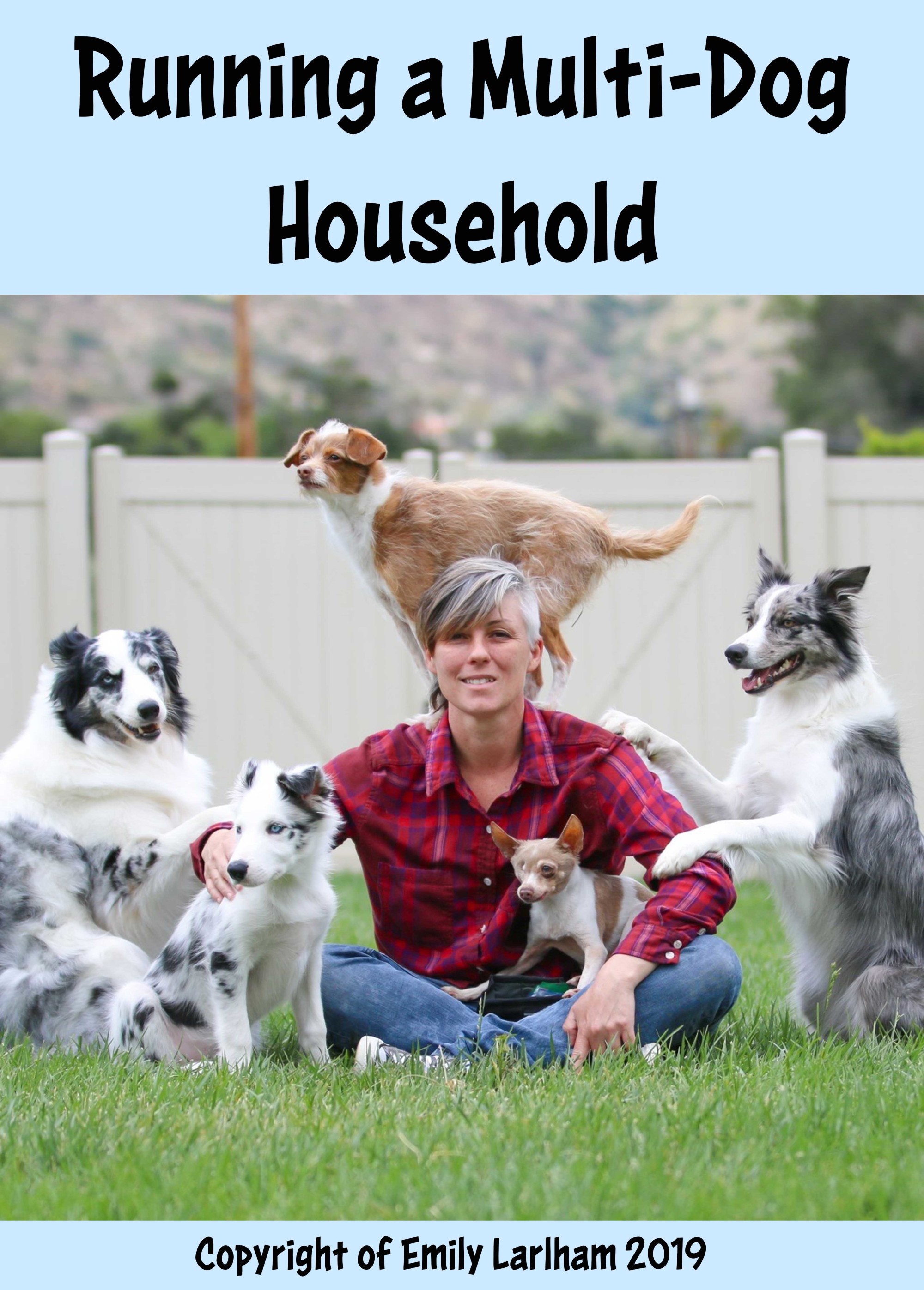 Multi-Dog Household