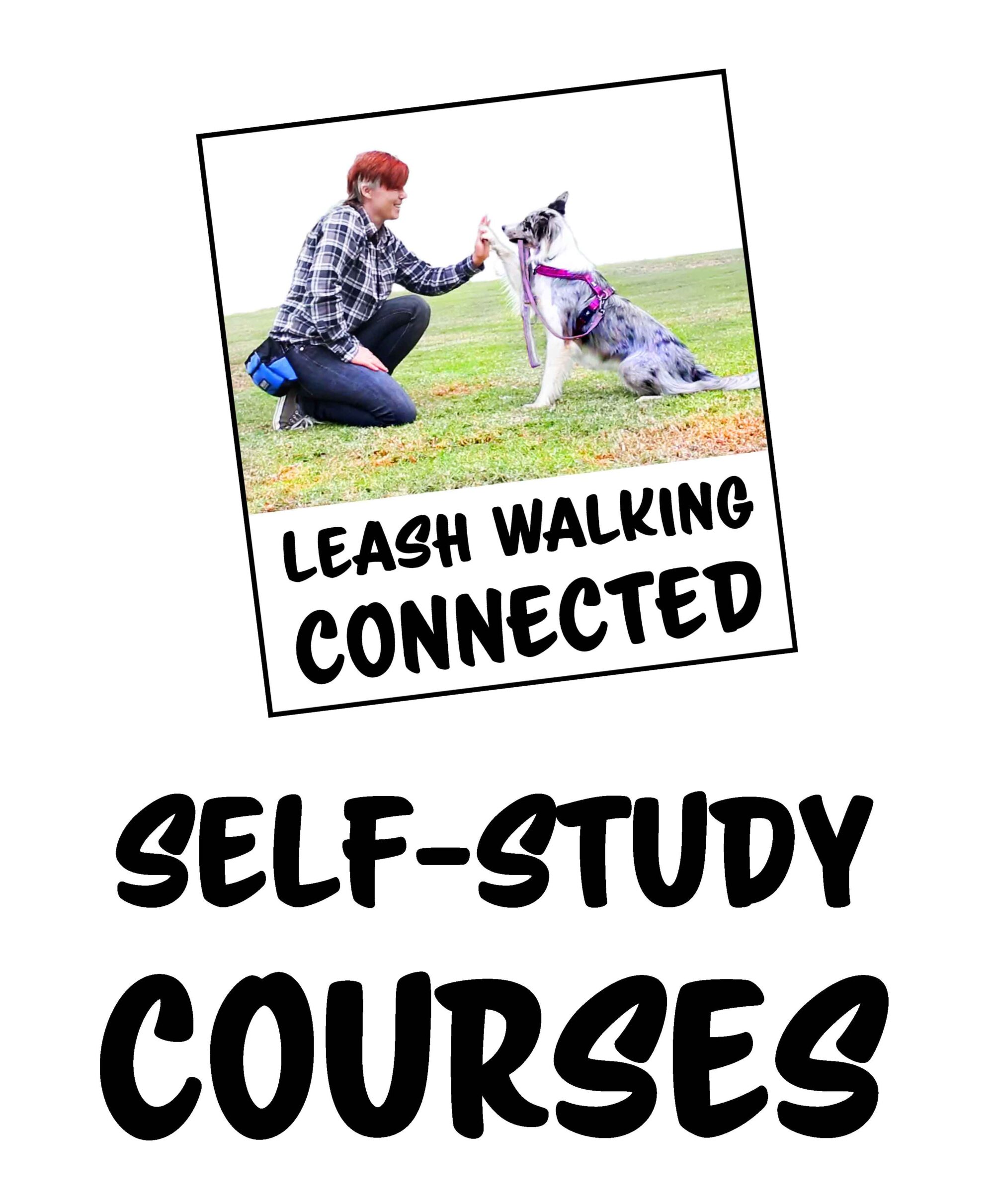 Self-Study Courses