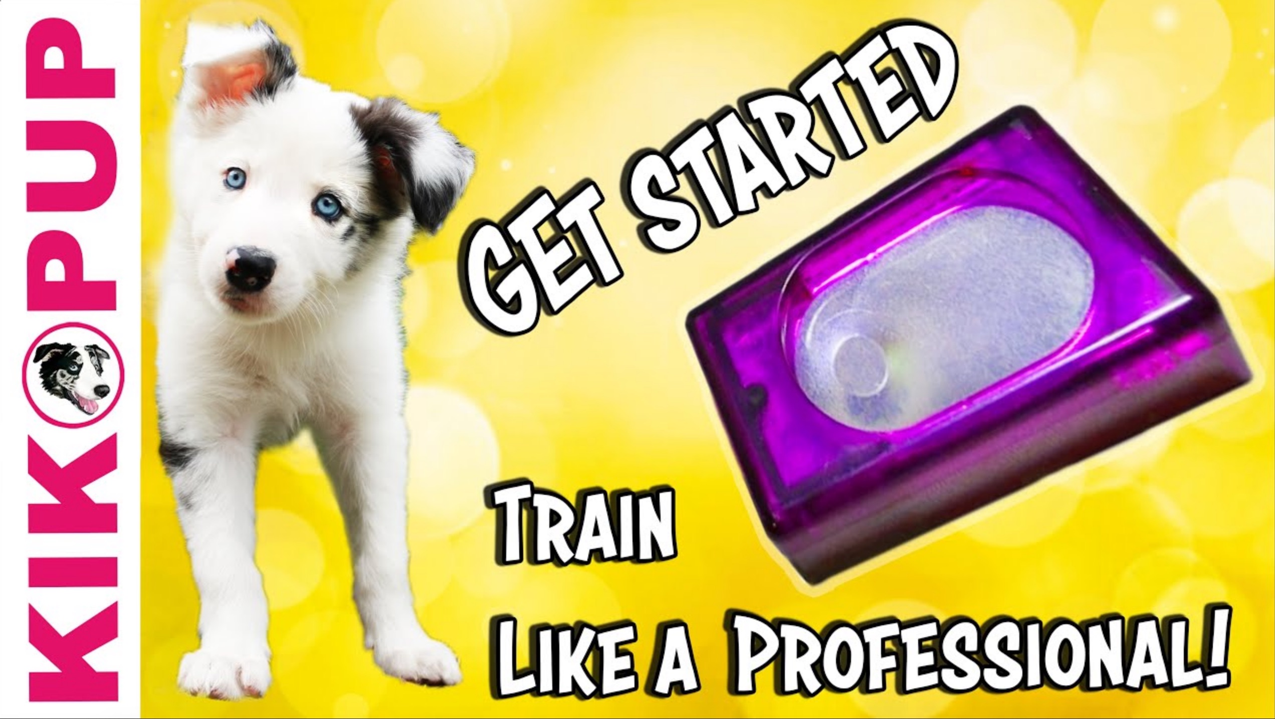 Getting Started Clicker Training