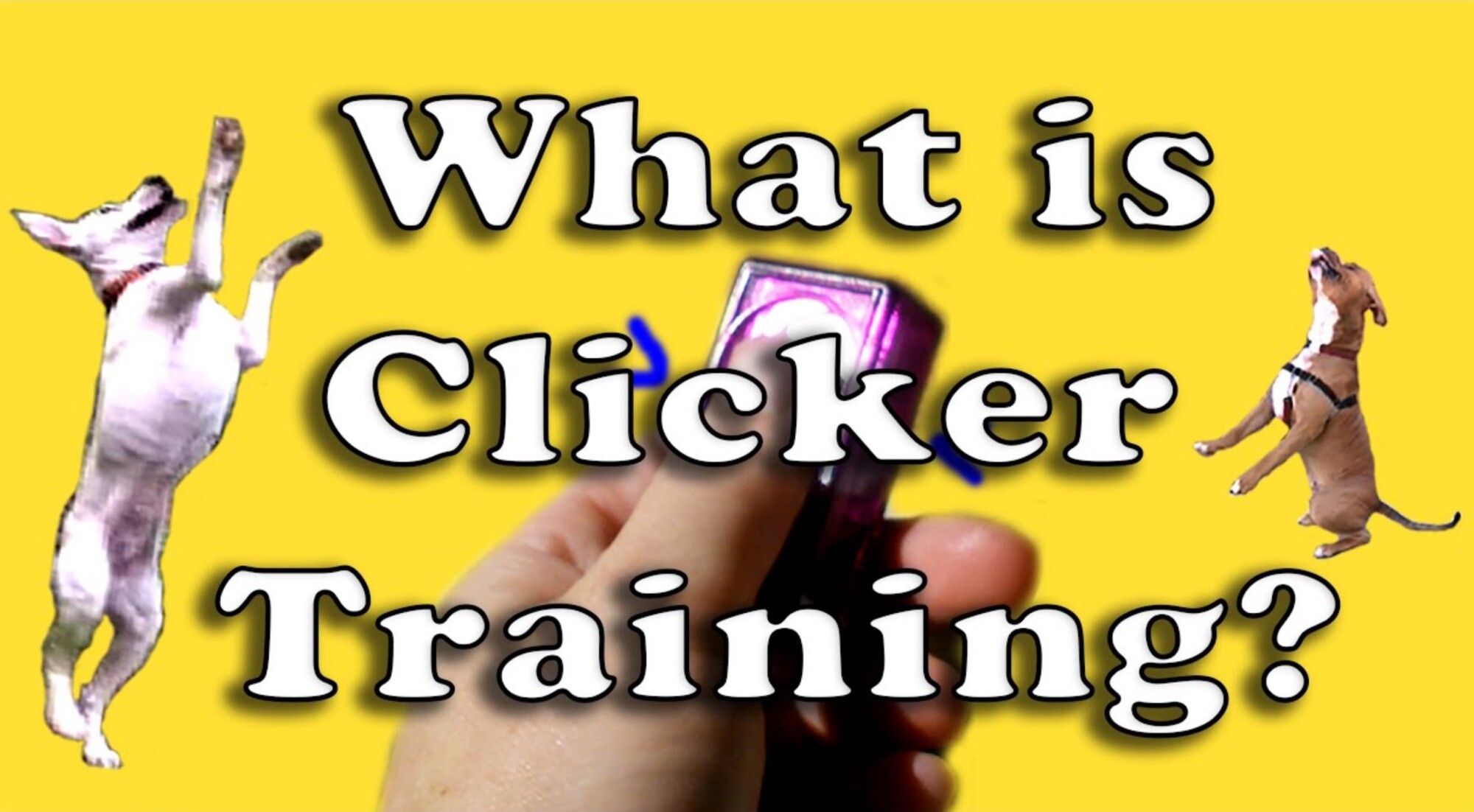 Getting Started Clicker Training Dogmantics Dog Training