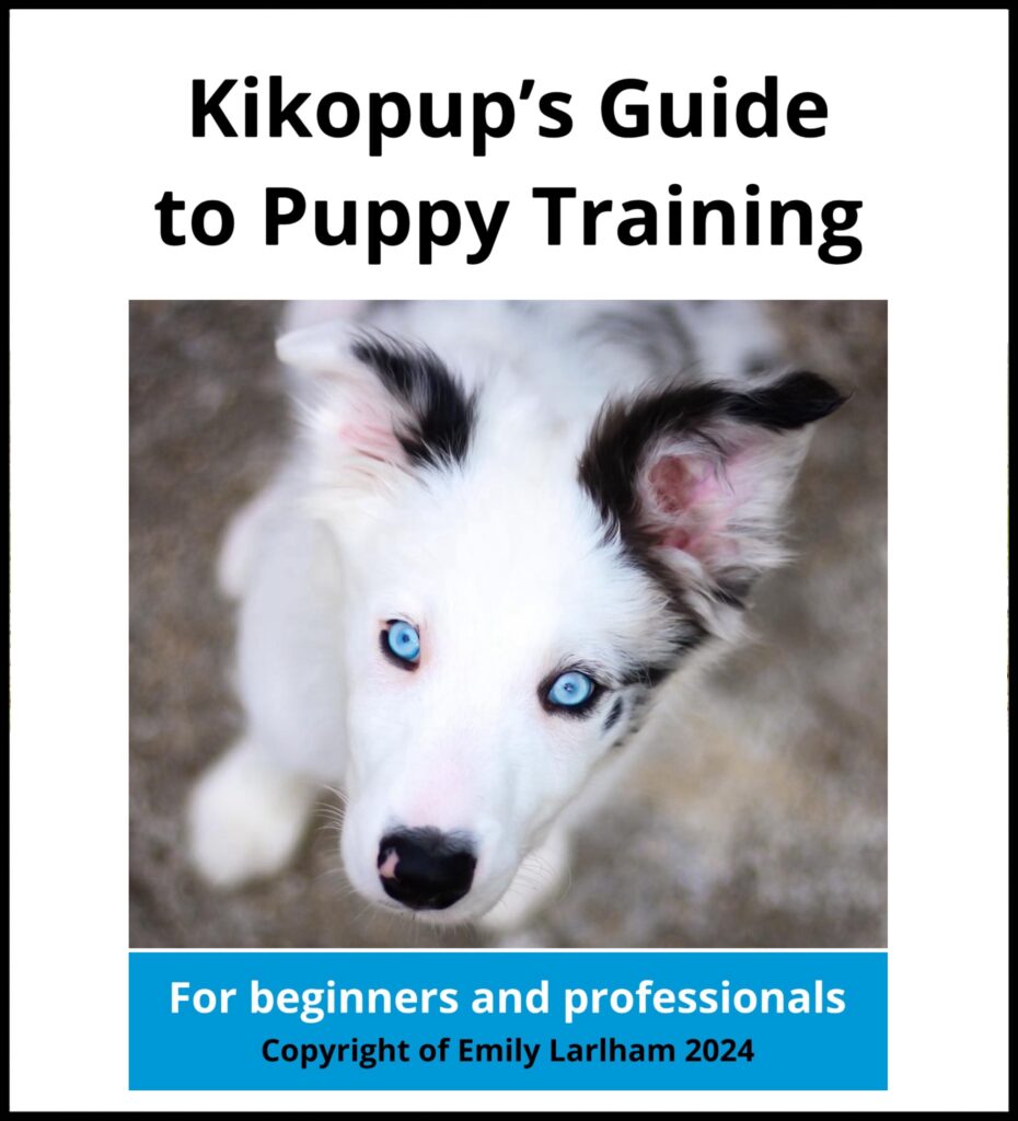 title of the online puppy training course with a picture of a blue eyed puppy and blue box with white text saying for beginners and professionals
